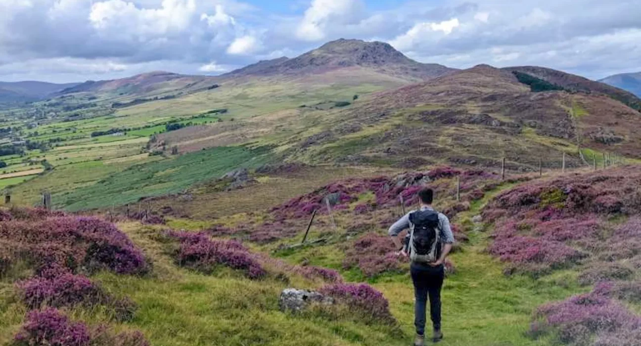 Les Roches Anciennes d'Irlande: Indices sur le Cycle Éruptif des Volcans entre Fusion et Mélange