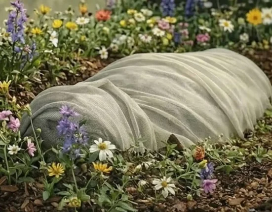 Les autorités du Maryland envisagent un projet de forêt à partir de compost humain