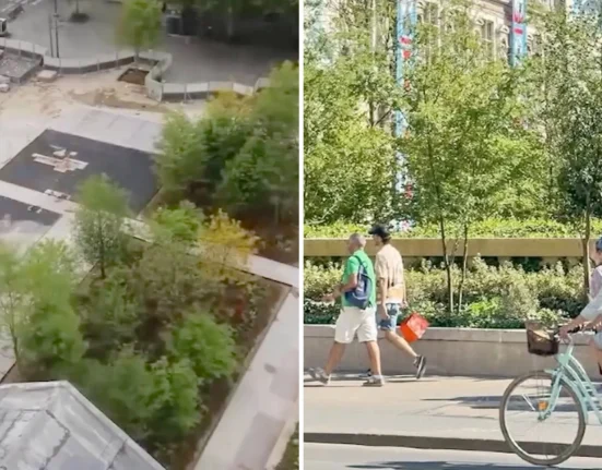 Paris transforme la place en pierre de l'Hôtel de Ville en une micro-forêt de plus de 50 arbres et 20 000 plantes.