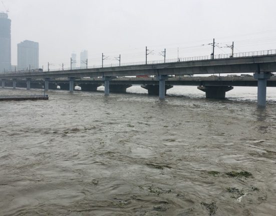 Pollution des eaux : Tous les poissons de la Yamuna en Inde contaminés par des microplastiques, Delhi en tête