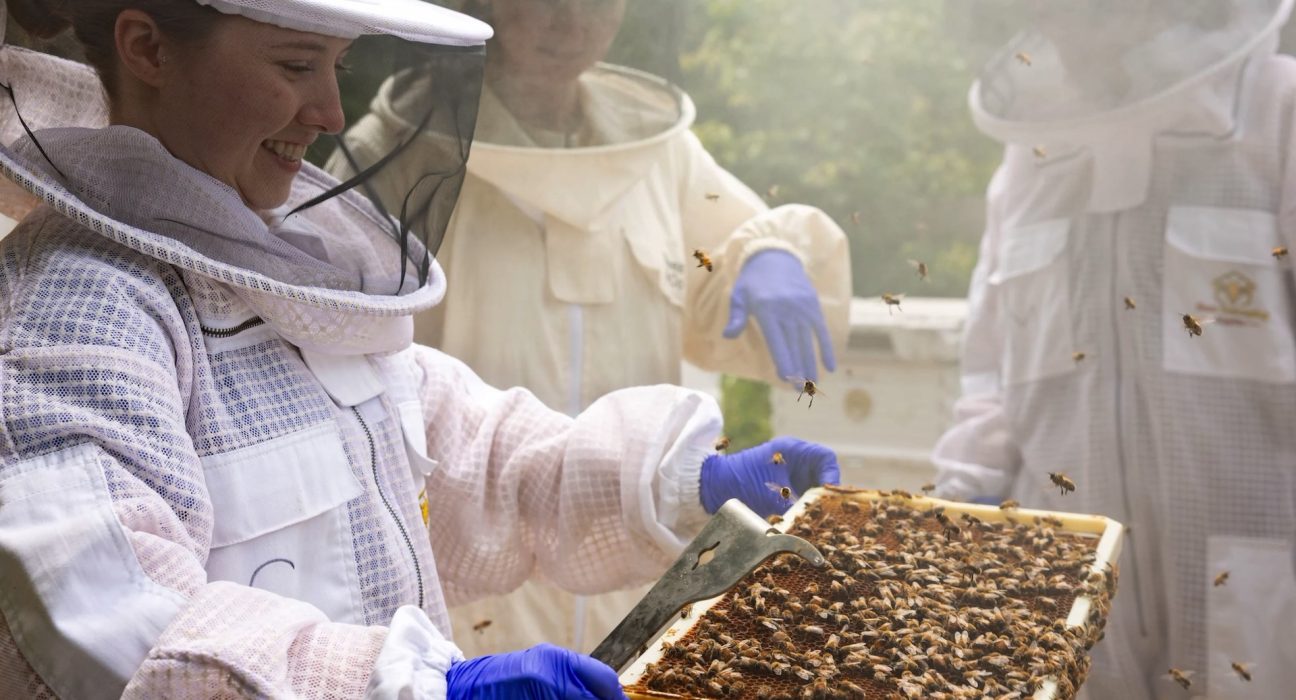 Préparation des étudiants vétérinaires de Géorgie à sauver les abeilles face à la crise des colonies