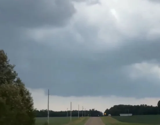 Tempête du Minnesota : Des chasseurs de tornades immortalise des débris volants alors qu'une tornade éventre des arbres.