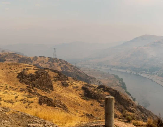 Un voyage à travers la fumée des incendies canadiens : un écrivain de TIME confronté à la bronchite