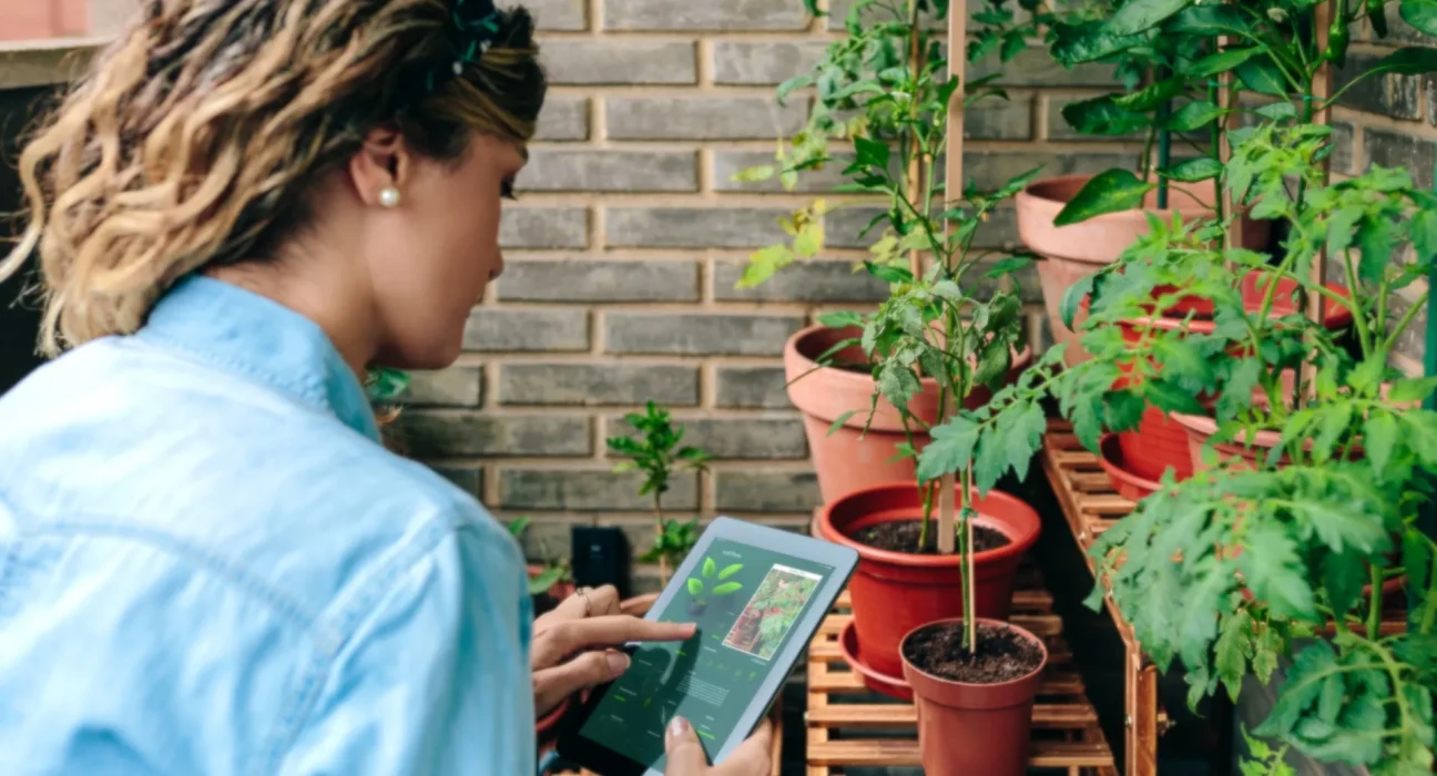 Une étude révèle que 57 espèces envahissantes sont commercialisées en ligne dans le jardinage en Inde