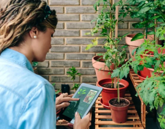 Une étude révèle que 57 espèces envahissantes sont commercialisées en ligne dans le jardinage en Inde