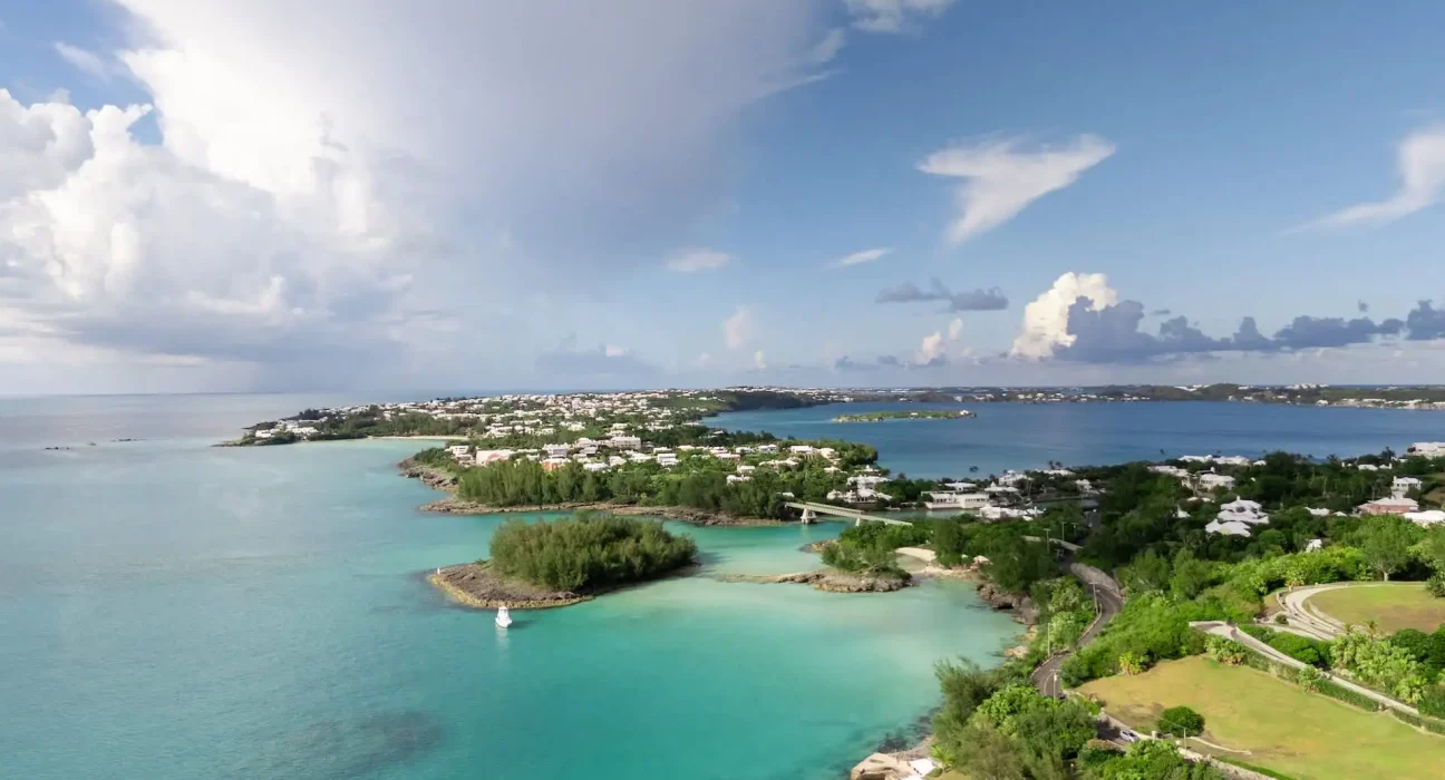 Bermudes : près de 67 000 $ investis pour un serpent à sonnette introuvable