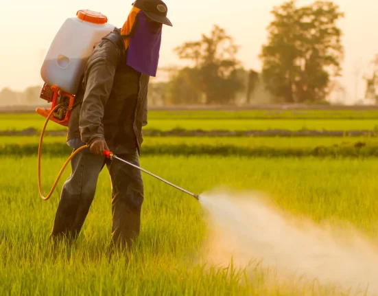 Des ONG environnementales poursuivent l'EPA de Trump pour avoir autorisé un herbicide contenant des 'produits chimiques éternels' dans l'agriculture.