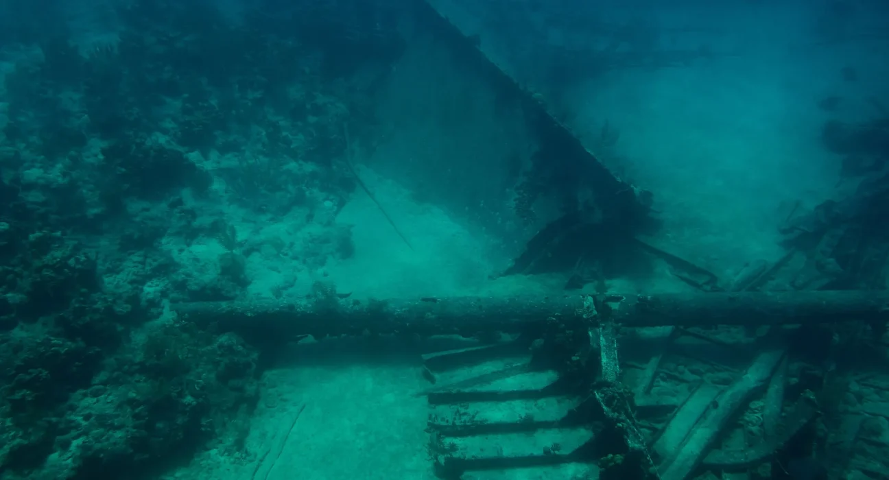 Des archéologues de Floride découvrent trois navires d'une expédition de 1559 et soulignent que leurs méthodes de recherche laissent échapper d'autres épaves.