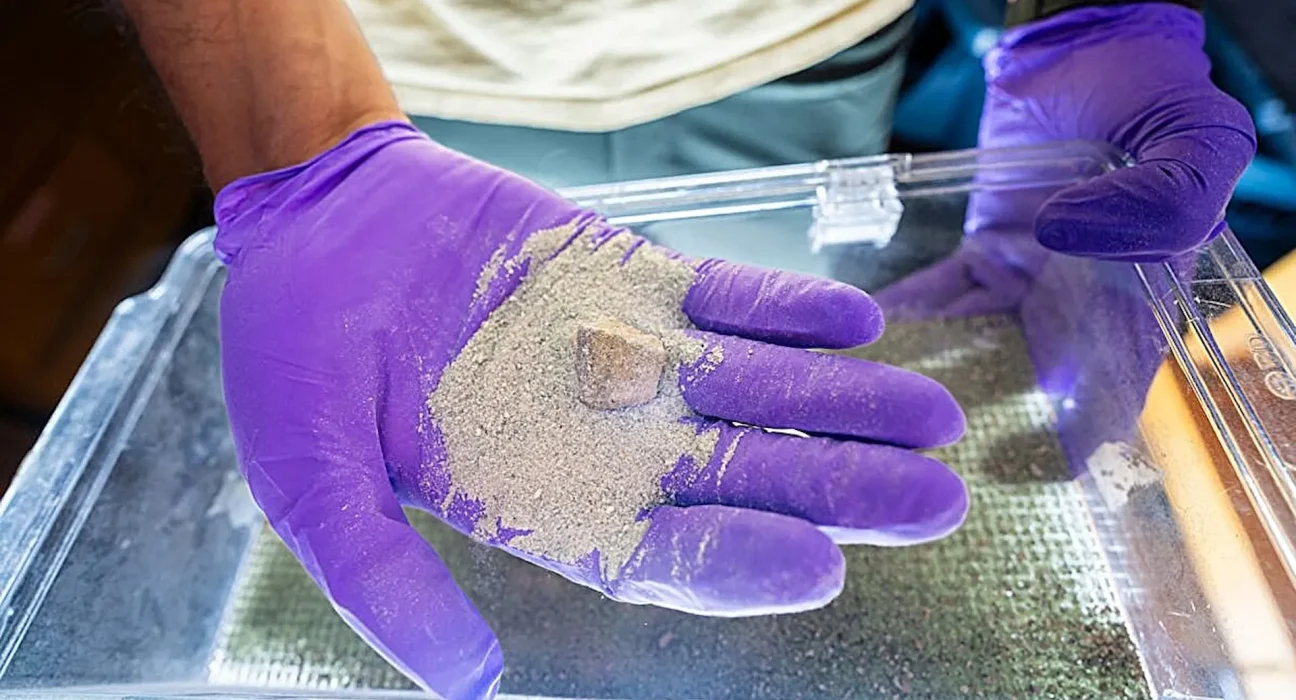 Des bactéries ingénierées pour accélérer l'un des plus anciens processus de capture du dioxyde de carbone sur Terre.