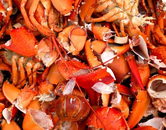 Des chercheurs du Maine transforment des coquilles de homard jetées en tees de golf.