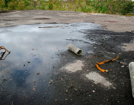 Des micro-organismes des friches industrielles de Pittsburgh : une solution pour assainir les pollutions de l'ère sidérurgique