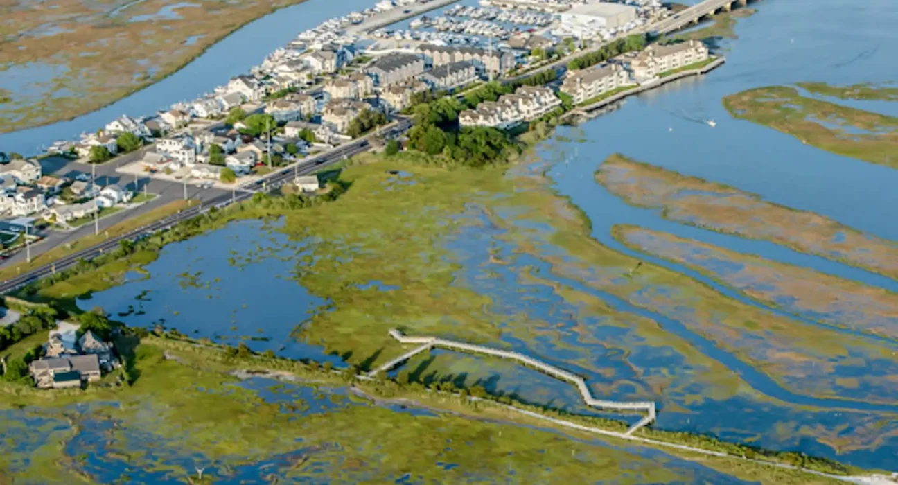 Des scientifiques du New Jersey créent des îles boueuses pour protéger les marais côtiers de l'engloutissement.