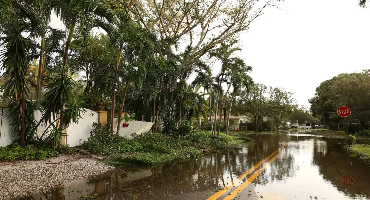 Floride : Un hiver plus frais et humide à l'horizon avec le phénomène 'super' El Niño, promesse de soulagement face à la sécheresse et de nouvelles incertitudes
