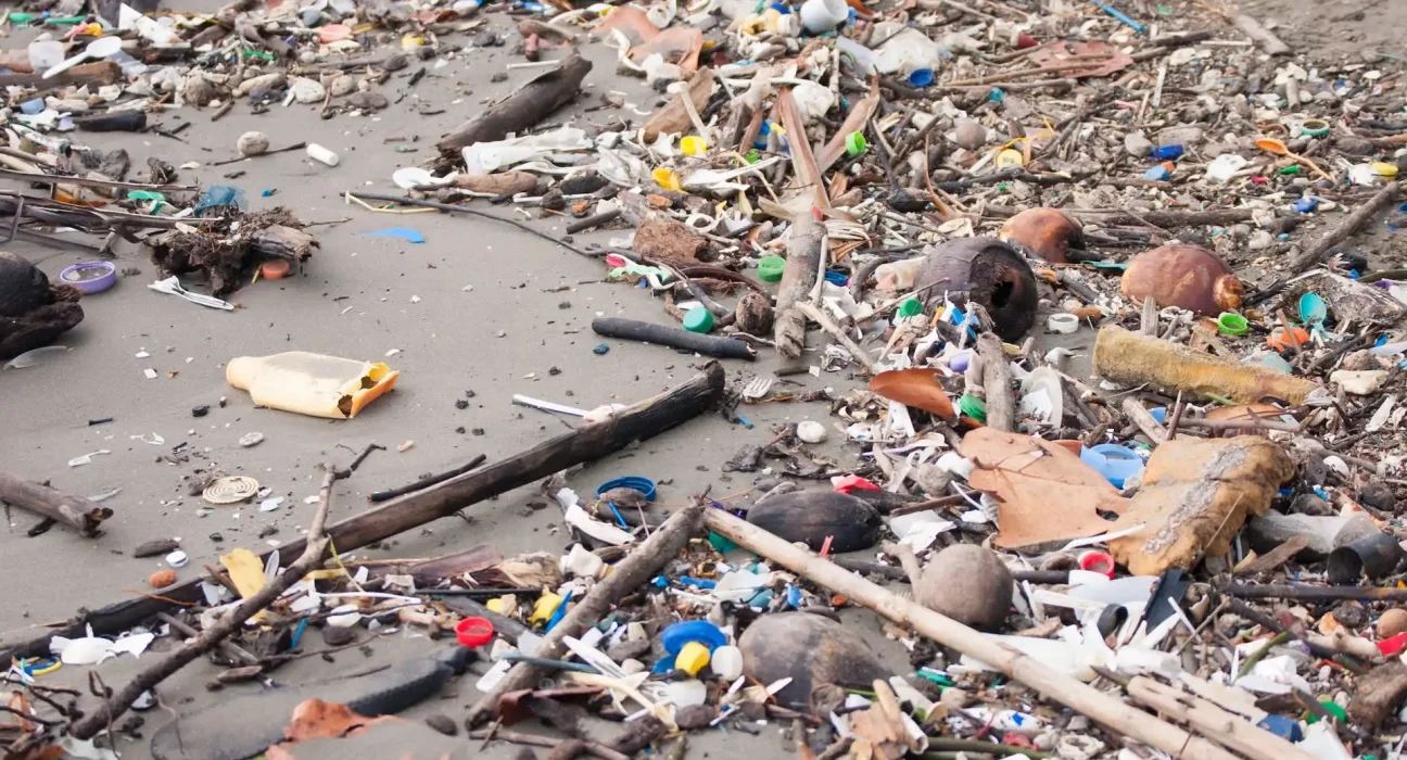 L'Ocean Cleanup prévient l'envoi de 463 000 livres de déchets vers le Golfe du Honduras.
