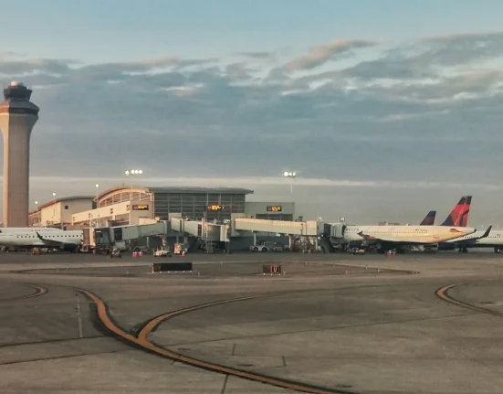 L'aéroport de Detroit intercepte des insectes géants à échelle, une première pour les États-Unis.