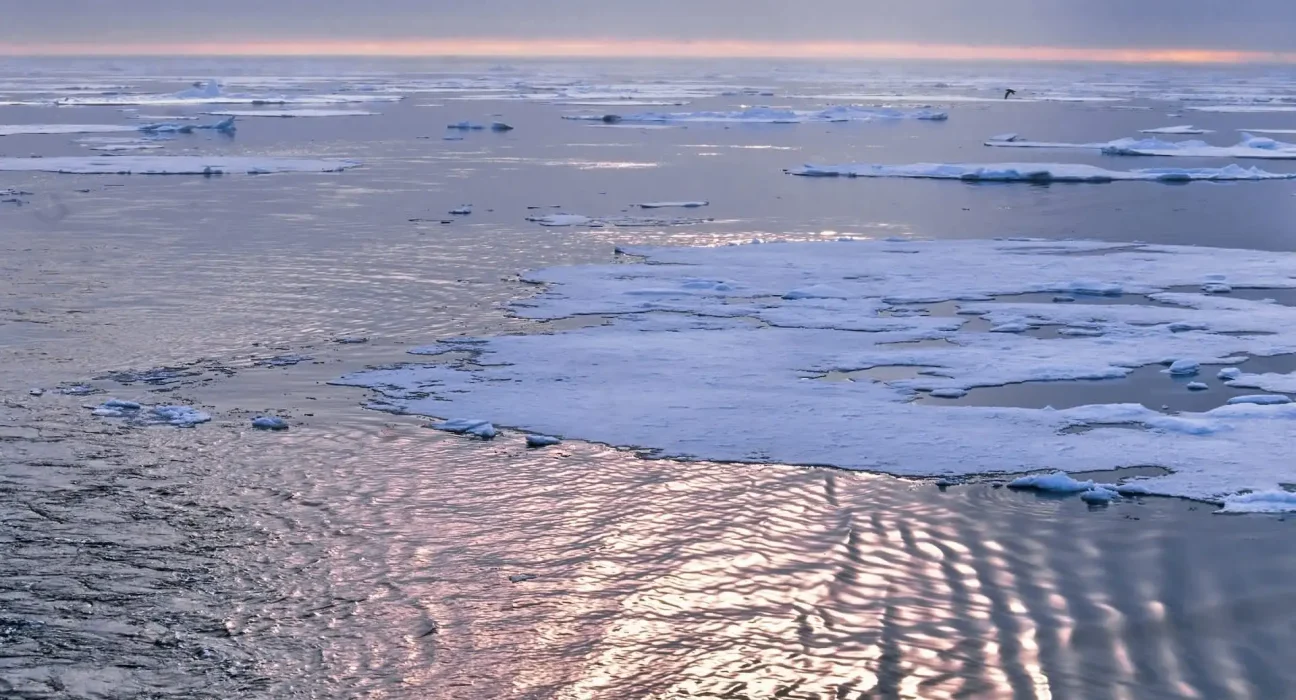 Les mouvements imprévisibles de la glace arctique : l'impact des collisions des glaces révélé