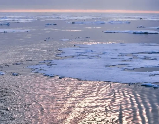 Les mouvements imprévisibles de la glace arctique : l'impact des collisions des glaces révélé