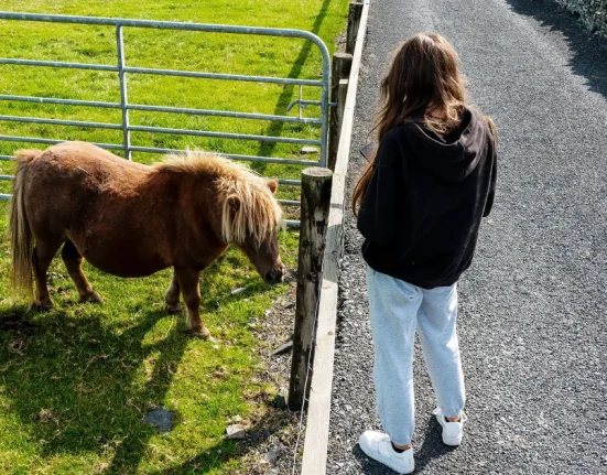 Trois Minutes Avec un Âne ou Un Petit Cheval : Une Solution Contre la Dépression des Adolescents