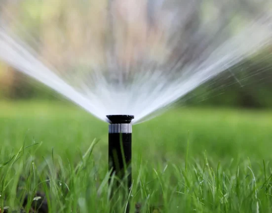 Un Centre de Données Arrose Son Jardin Luxueux Pendant Que Ses Voisins Subissent Une Restriction D'Eau Annuelle