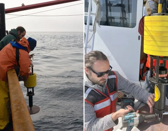 Une erreur de suivi des baleines du Massachusetts révèle un phénomène lié à Einstein qui peut égarer ces mammifères marins.