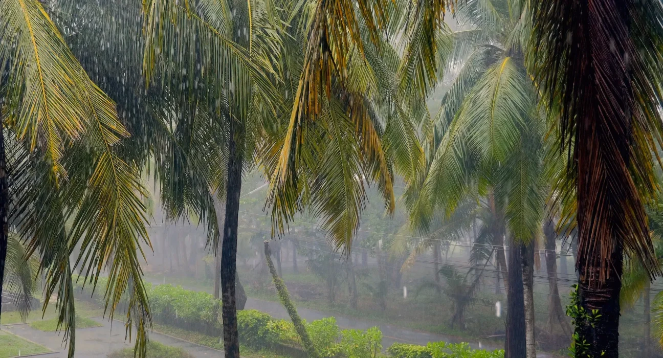 Une ville de Floride établit un nouveau record de pluie en septembre avec jusqu'à 10 pouces supplémentaires attendus.