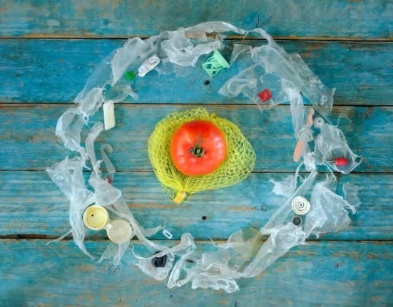 Analyse des Aliments : 88 % Contiennent des Plastiques, mais Faut-il Vraiment Craindre de Manger l'Équivalent d'une Carte de Crédit par Semaine ?