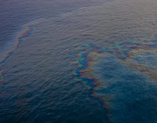 Après la marée noire de BP, la vie sous-marine dans le Golfe du Mexique en déclin : une baisse de 60% et des populations toujours en souffrance.