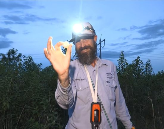 Chasseur en Floride utilise une caméra high-tech pour traquer des pythons envahissants : un duel surprenant avec un chien