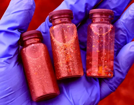 Des Découvertes Alarmantes sur les Microplastiques