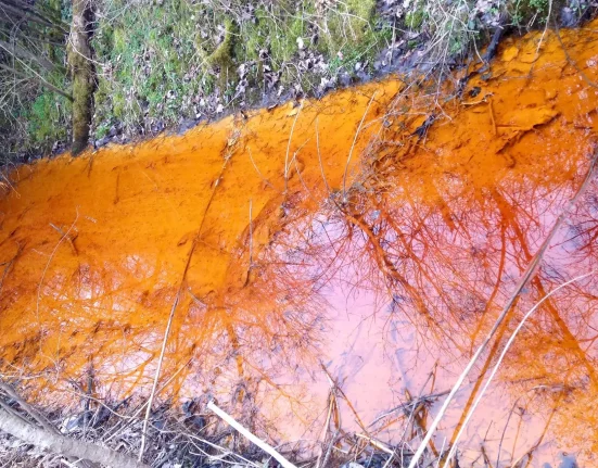 Des documents révèlent que des responsables ont dissimulé l'origine de la pollution de la rivière en Virginie-Occidentale.