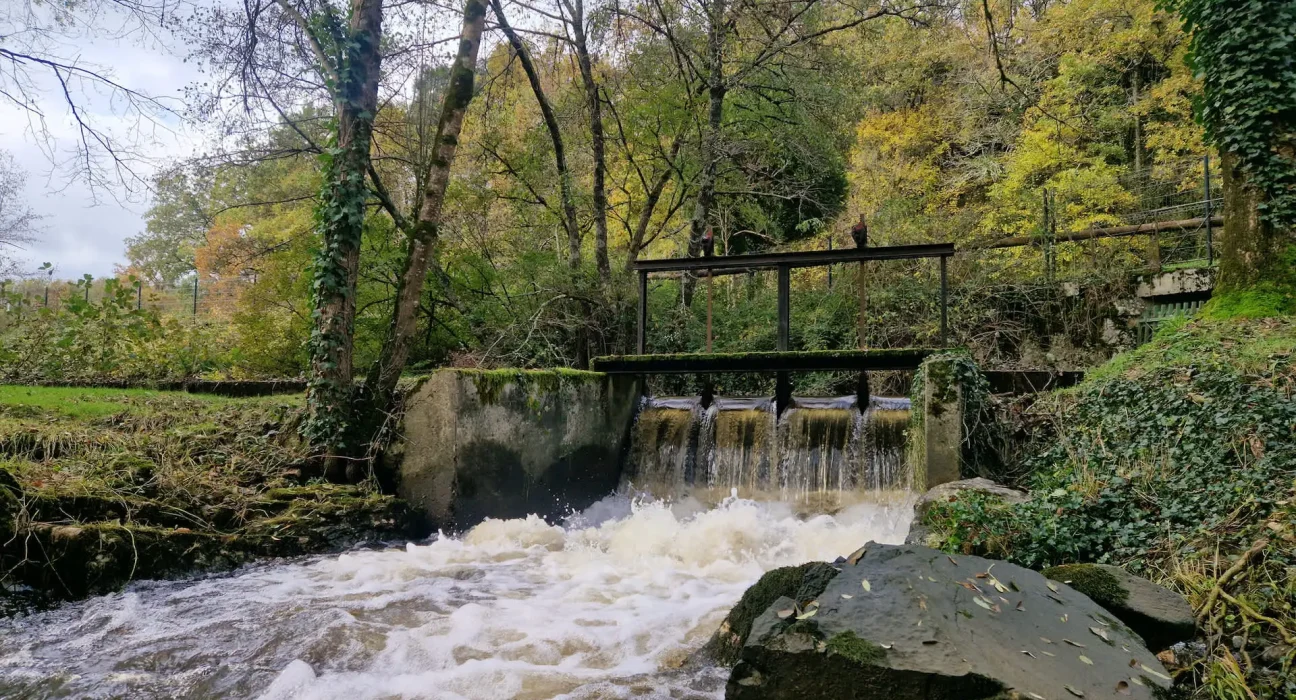 Des ruisseaux du Massachusetts cachent des 'barrages fantômes' augmentant le risque d'inondation