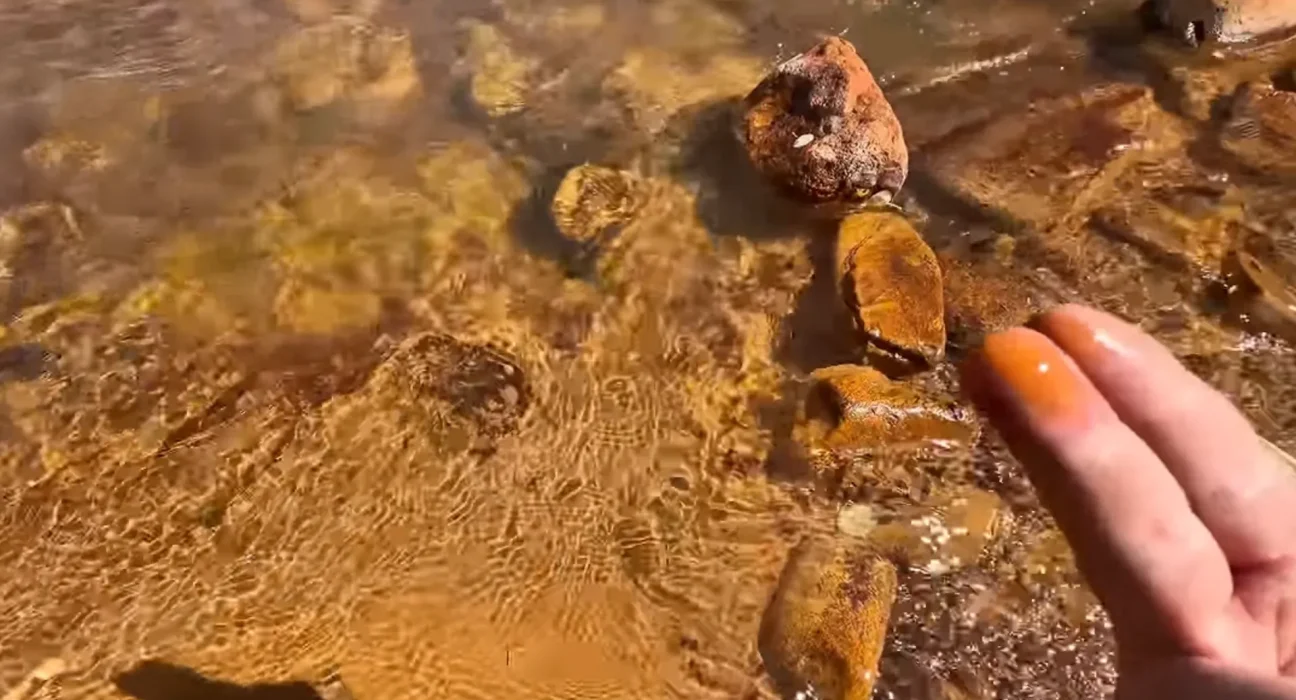 Déversement minier au Colorado : une rivière devenue orange en une semaine avant d'atteindre le lac Powell.