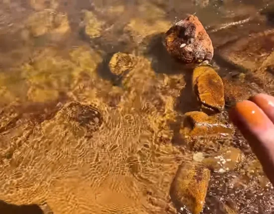 Déversement minier au Colorado : une rivière devenue orange en une semaine avant d'atteindre le lac Powell.