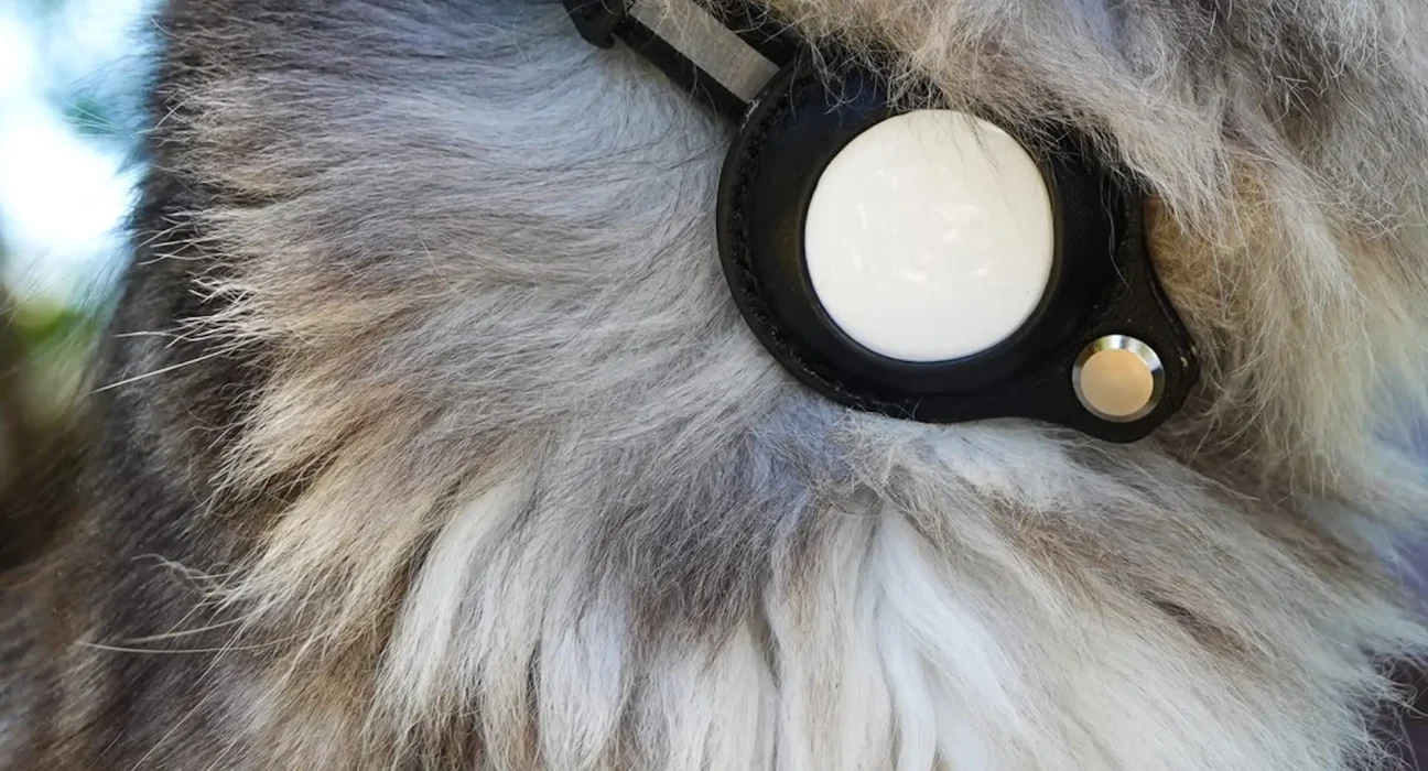 En Alaska, une avalanche emporte un chien, puis un AirTag permet de le retrouver 50 heures plus tard.