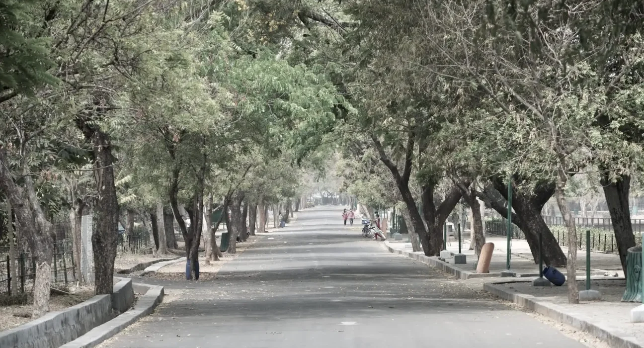En Inde, une voiture chute dans un gouffre après l'effondrement d'une route, deux personnes s'échappent.