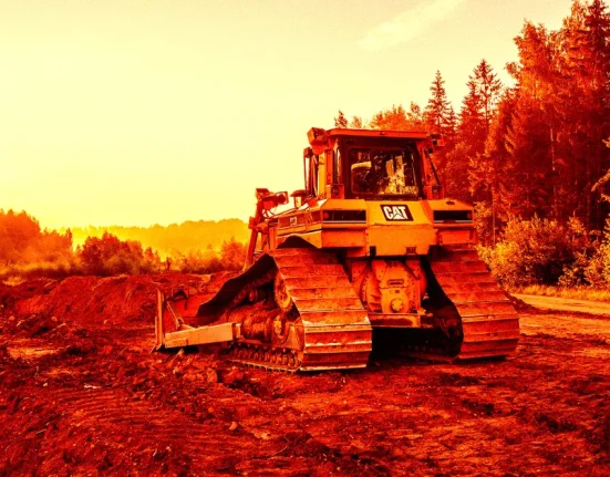 Google Accusé d'Avoir Détruit Illégalement une Forêt Gigantesque pour Son Nouveau Projet de Centre de Données.
