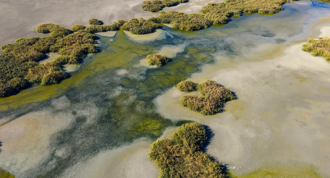 Lac Koroneia en Grèce : un refuge aviaire transformé en vase due à la perte de 90% de son eau.