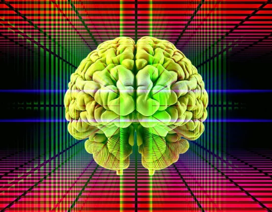 Les Scientifiques Dévoilent Que le Cerveau Humain Alterne Constamment Entre Différentes Réalités