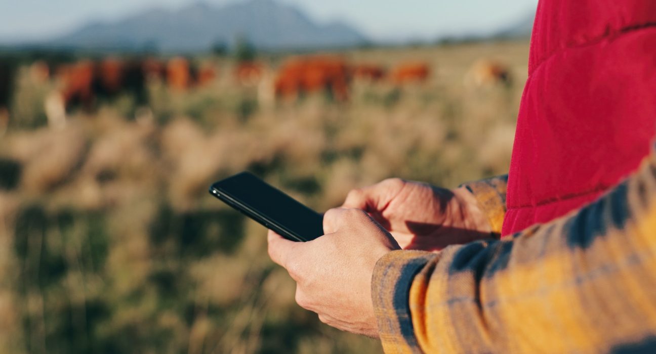 Les agriculteurs néo-zélandais dénoncent la coupure de la 3G qui crée des zones blanches sur leurs terres.