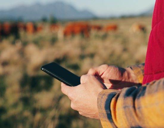 Les agriculteurs néo-zélandais dénoncent la coupure de la 3G qui crée des zones blanches sur leurs terres.
