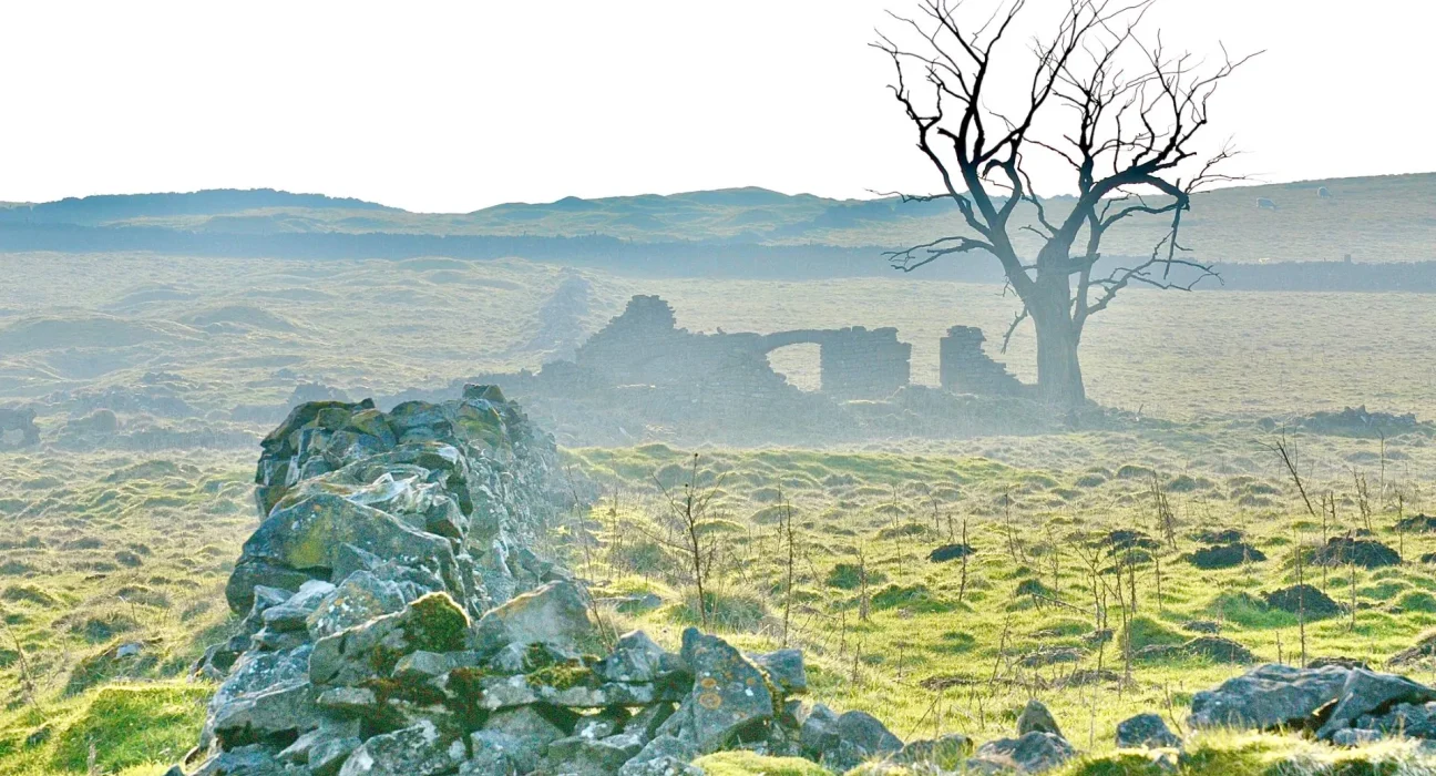 Les dents des enfants en Angleterre révèlent une pollution au plomb médiéval comparables aux villes de l'ère industrielle.