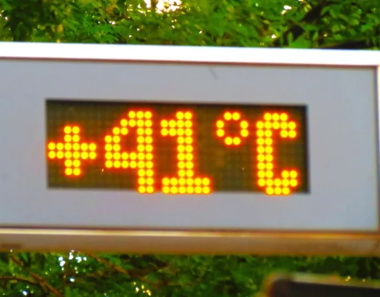 L'été record de l'Europe de l'Ouest : 13 jours de chaleur intense.