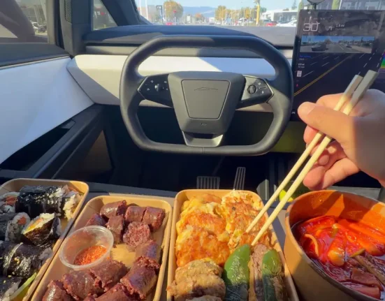 Tesla Bros Partagent des Vidéos de Festins Décadents en Mode Autonome