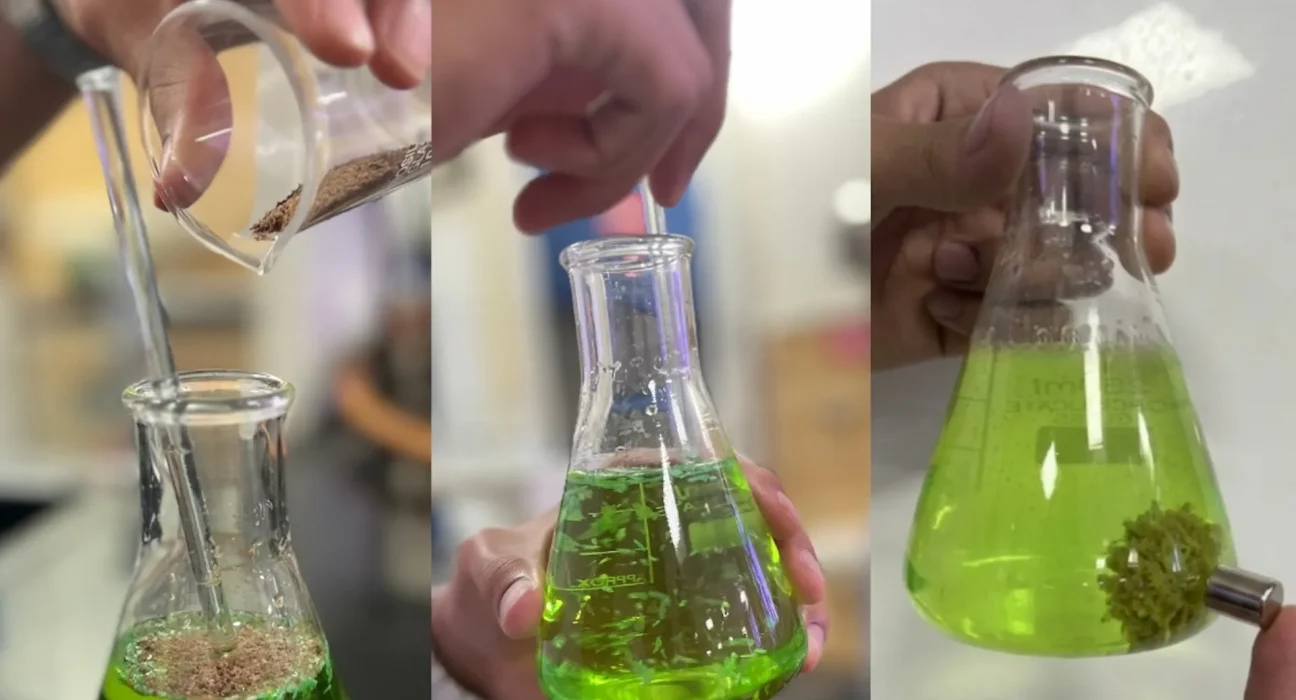 Trois adolescents indiens transforment des graines de tamarin en un aimant à microplastiques et remportent le Prix Terre 2026.