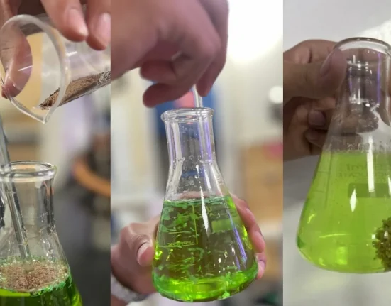 Trois adolescents indiens transforment des graines de tamarin en un aimant à microplastiques et remportent le Prix Terre 2026.