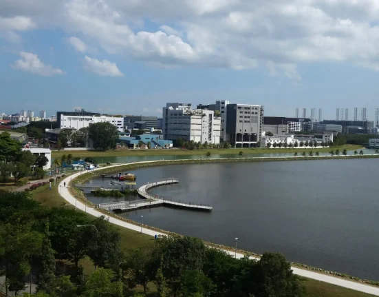 Un homme à Singapour accusé après une fausse alerte sur un crocodile en intelligence artificielle qui a entraîné la fermeture d'un réservoir prisé.