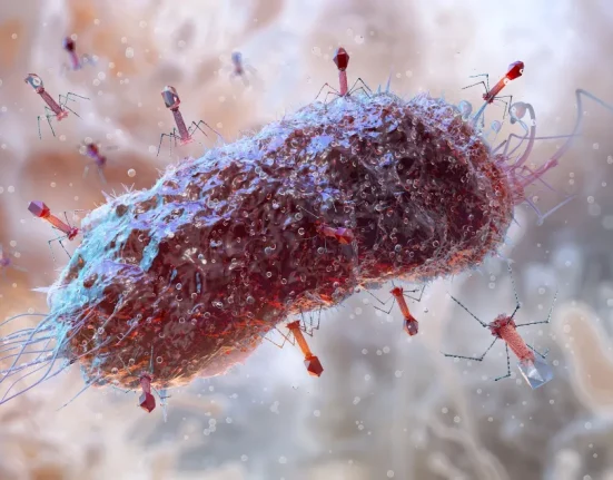 Une Startup Lance un Virus Conçu par IA sur un Patient Humain
