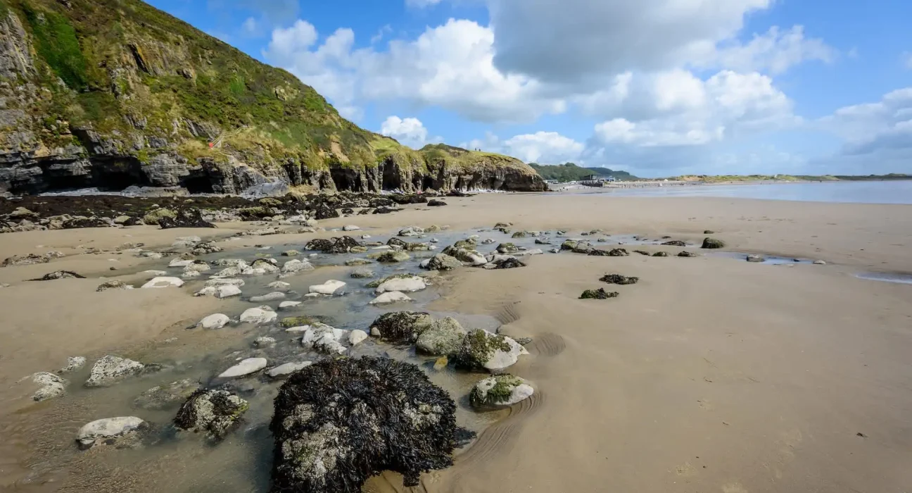 Une découverte fossile sur une plage du Pays de Galles résout une énigme de 200 ans sur les poissons préhistoriques