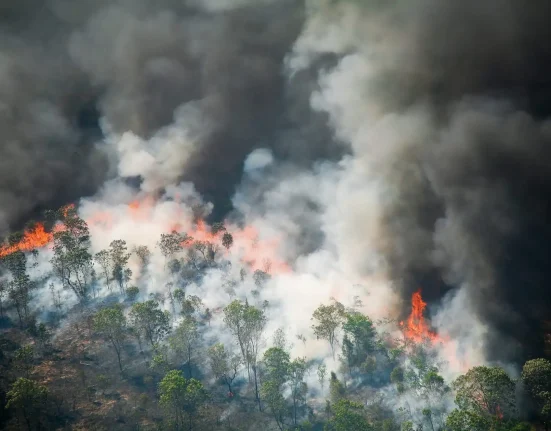 Une étude révèle que les émissions d'Amazonie ont presque quadruplé sans sécheresse