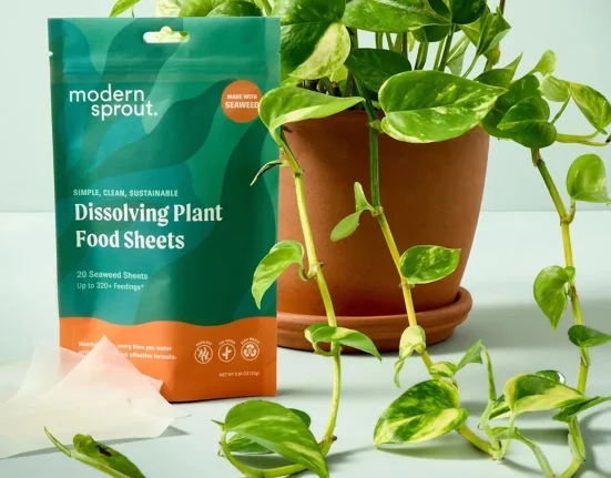 Une mère du Maine crée un film d'algues dissous pour les capsules de lessive face aux microplastiques